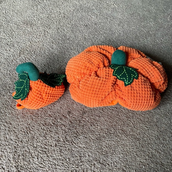 Pumpkin Pet Costume - Picture 1 of 6